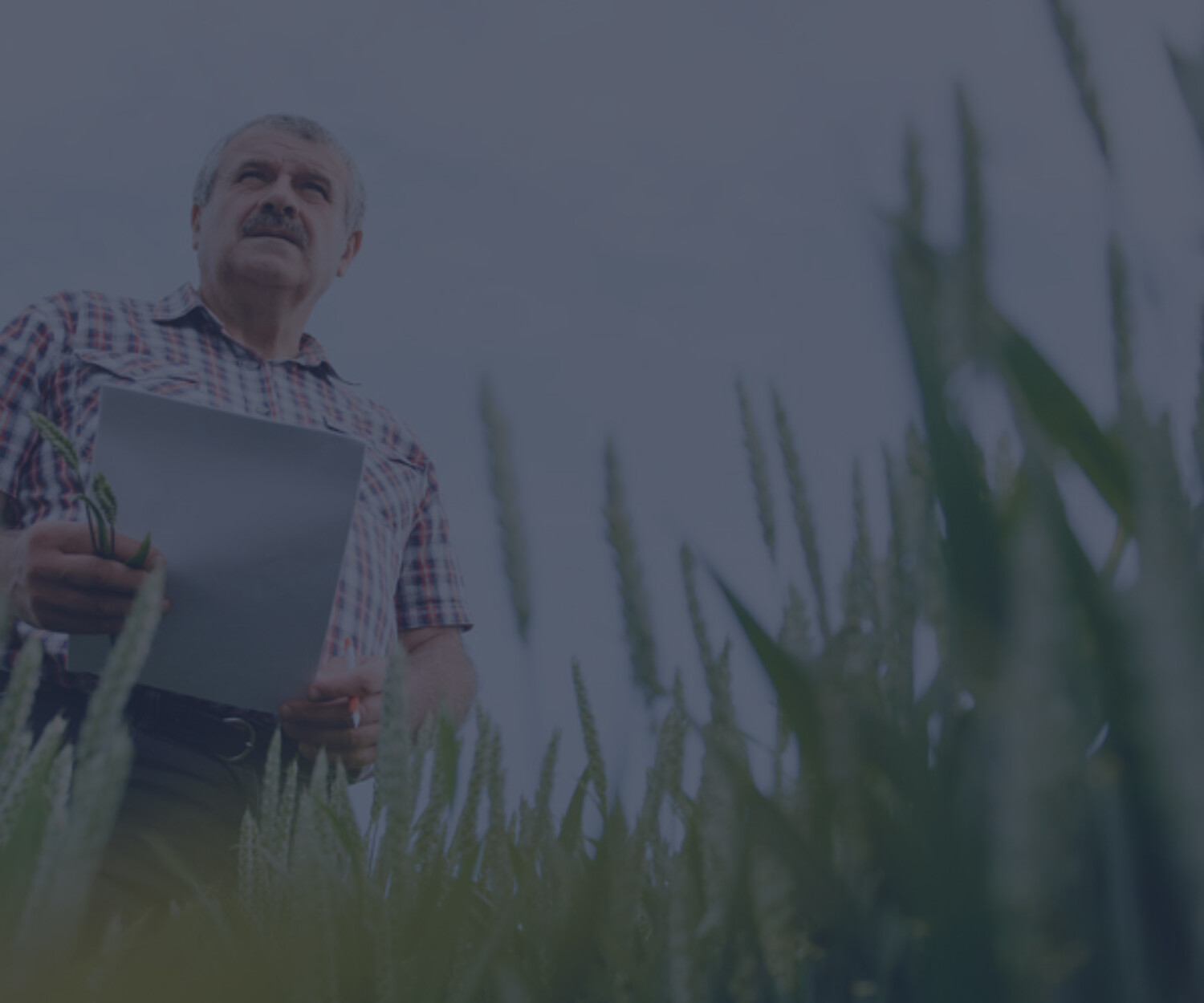 O que fazer diante de uma situação de débito rural