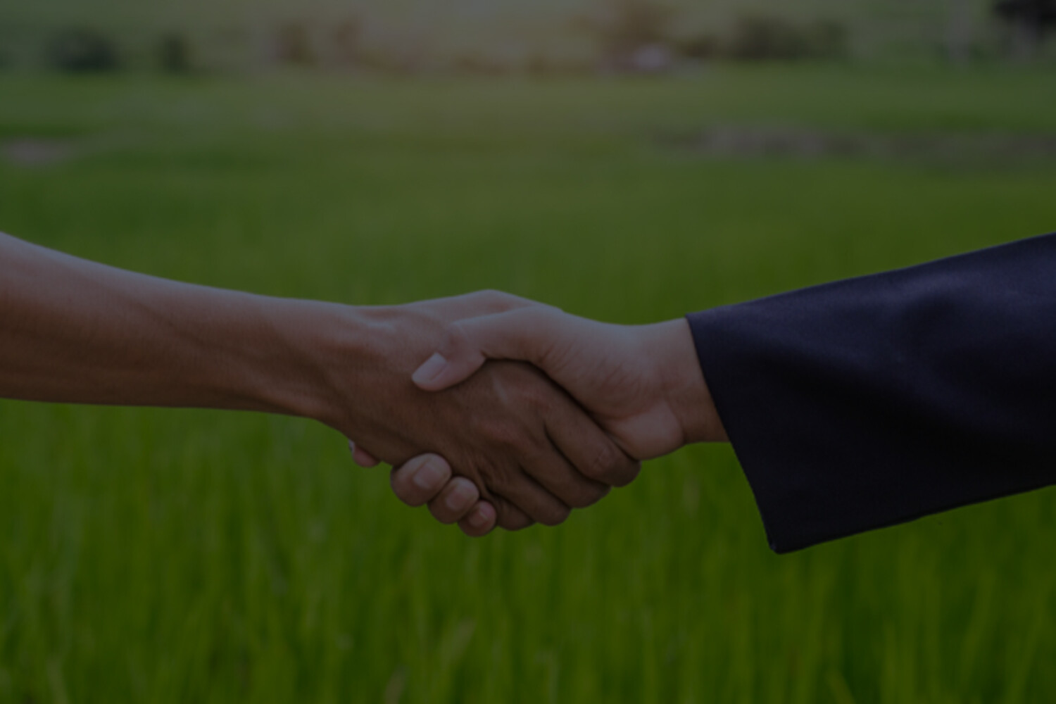 Débitos com cooperativas