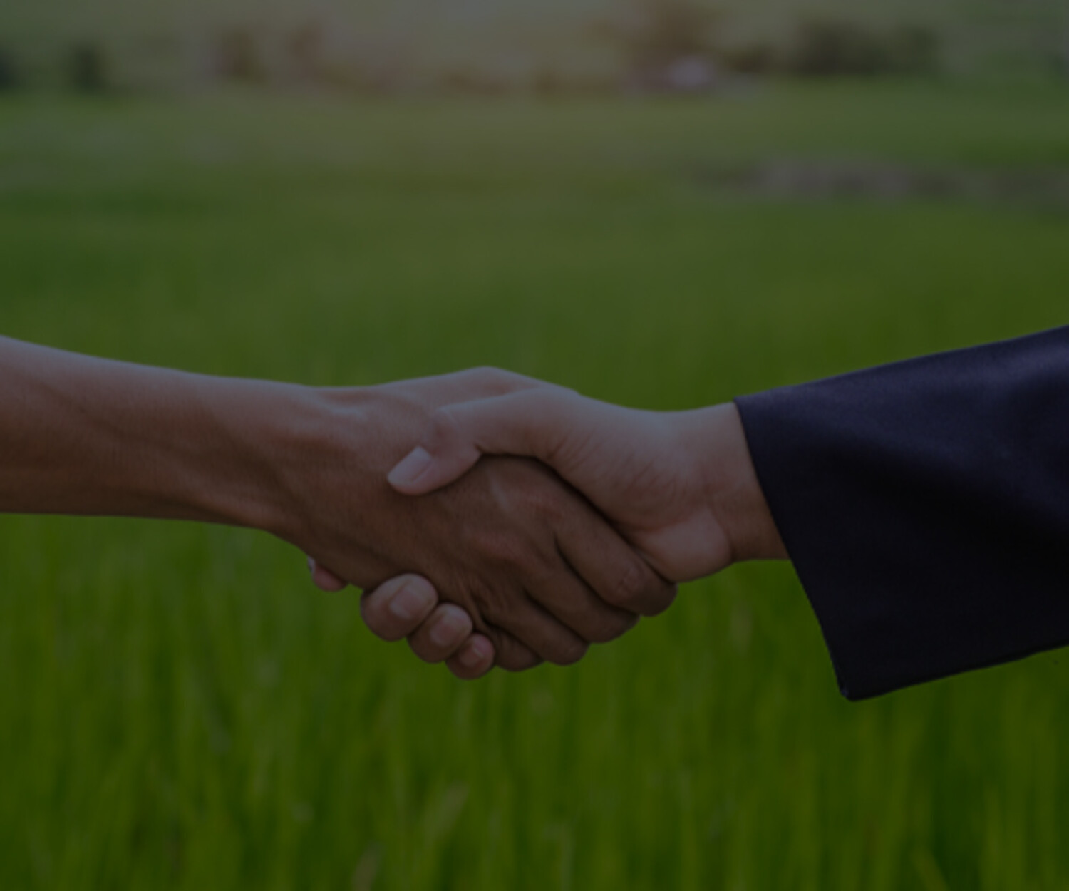 Débitos com cooperativas