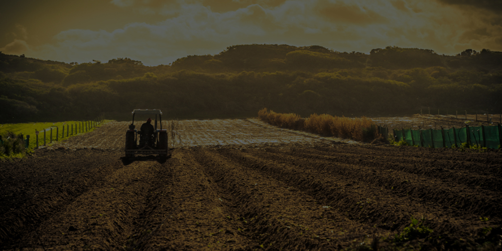 Contratar seguro agrícola