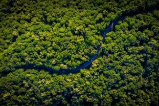 Vista aérea de rio sinuoso cortando floresta preservada, representando questões indígenas e quilombolas