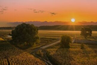 Caminho entre plantações ao nascer do sol, representando o planejamento patrimonial rural